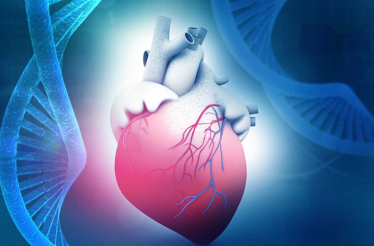 L’importanza dei polygenic risk scores cardiovascolari
