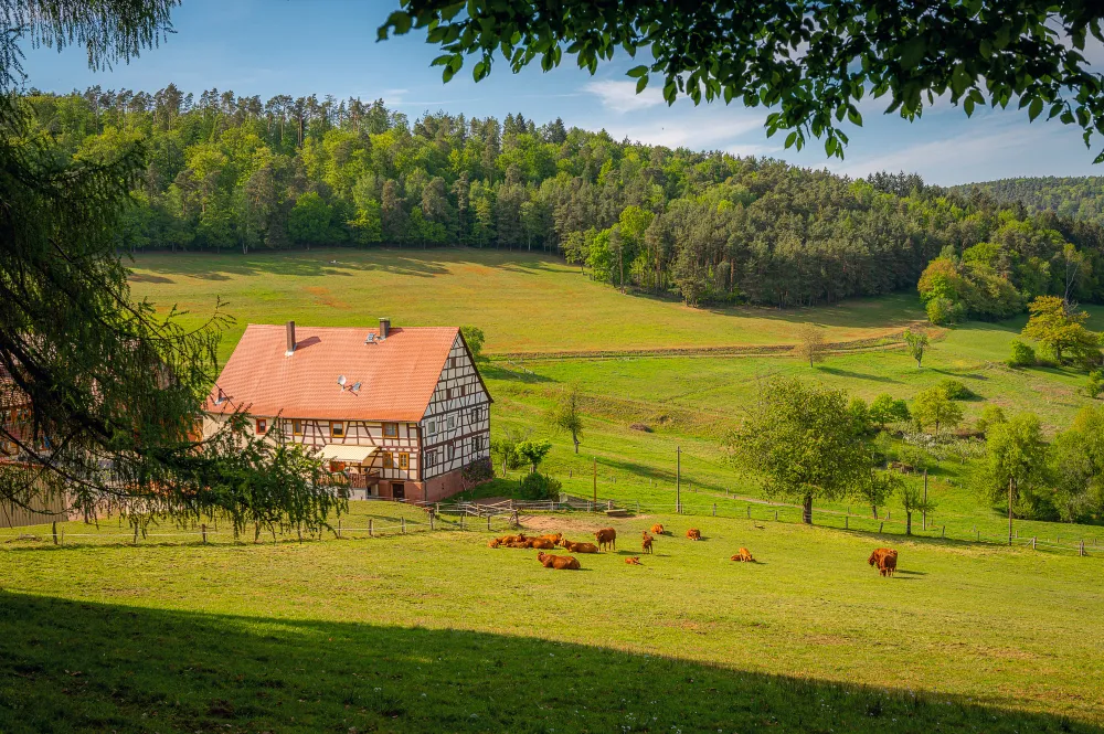 Campagna