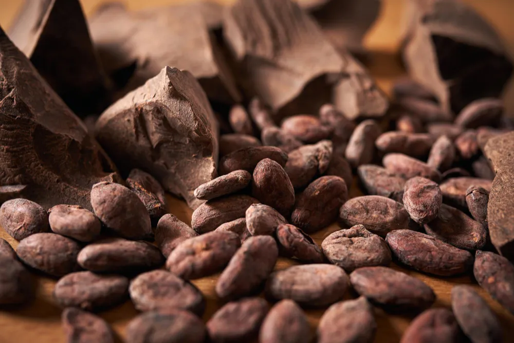 Cacao e cuore